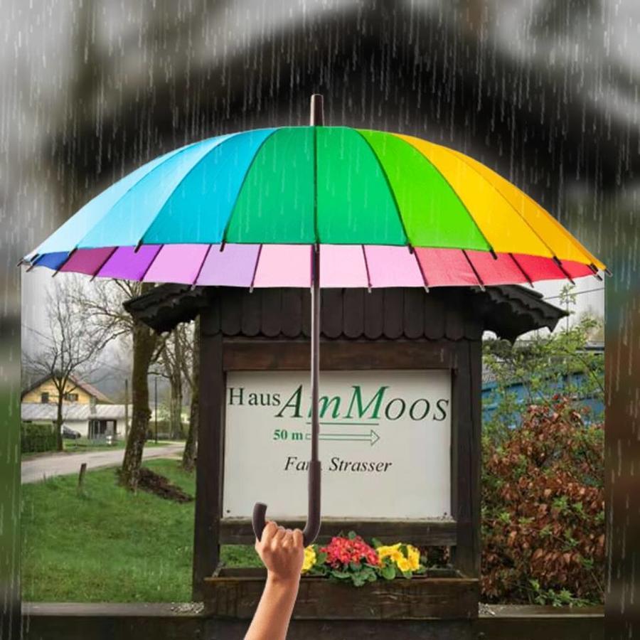 ザルツブルク Haus Am Moos Bed & Breakfast エクステリア 写真
