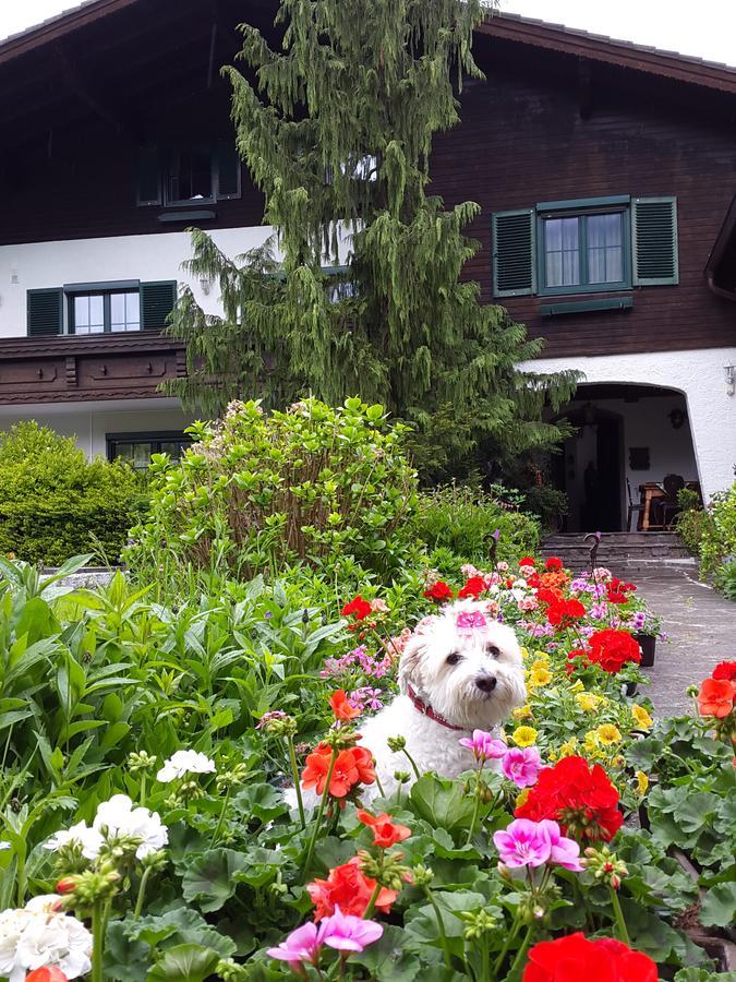 ザルツブルク Haus Am Moos Bed & Breakfast エクステリア 写真