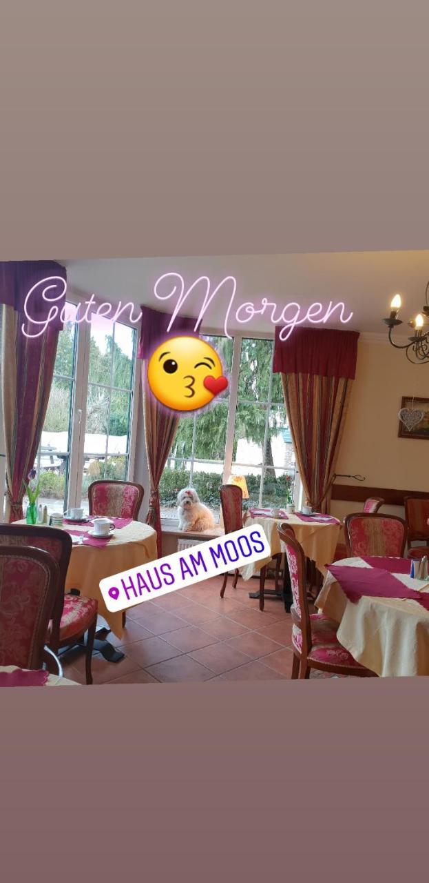 ザルツブルク Haus Am Moos Bed & Breakfast エクステリア 写真